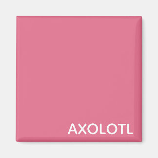 Farbe Axolotl pink Magnet