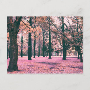 Farbe bewirkte Bäume im Yoyogi Park in Tokio. Postkarte