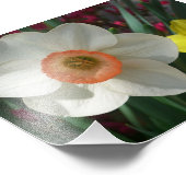 Farbe der Frühlingsblumen Rosa und Gelb Fotodruck (Ecke)
