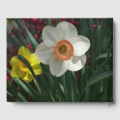 Farbe der Frühlingsblumen Rosa und Gelb Gästebuch (Rückseite)