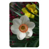 Farbe der Frühlingsblumen Rosa und Gelb Magnet (Vertikal)