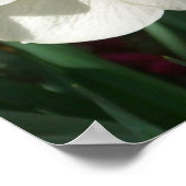 Farbe der Frühlingsblumen Rosa und Gelb Poster (Ecke)