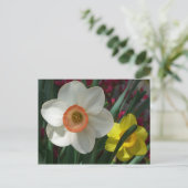 Farbe der Frühlingsblumen Rosa und Gelb Postkarte (Stehend Vorderseite)