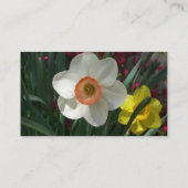 Farbe der Frühlingsblumen Rosa und Gelb Visitenkarte (Rückseite)