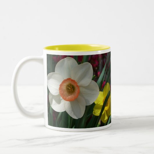 Farbe der Frühlingsblumen Rosa und Gelb Zweifarbige Tasse (Links)