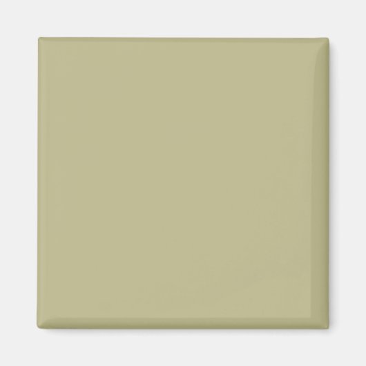 Farbe der grünen Folie | Classic | elegant Magnet (Vorne)