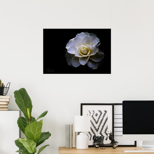 Farbe der Kamelie Poster (Heimbüro)