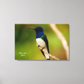 Farbe der Kontemplation Leinwanddruck (Vorderseite)