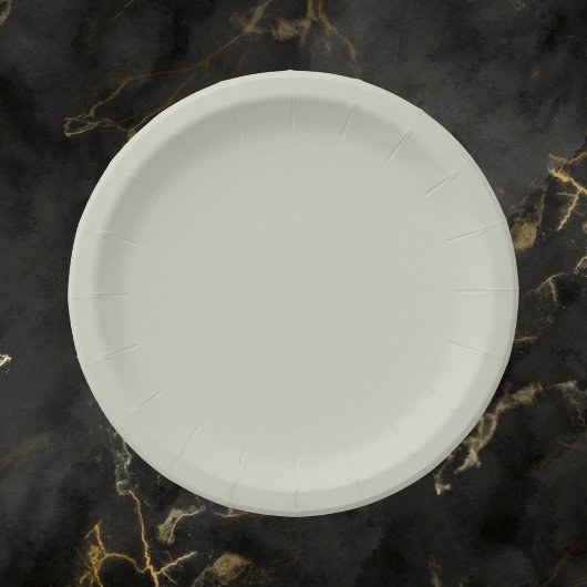 Farbe der weißen Seite Pappteller