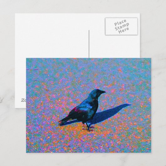 Farbe der Zeile Postkarte (Vorne/Hinten)