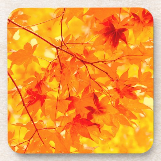 Farbe des Herbstes bleibt gelb Fall Getränkeuntersetzer (Vorderseite)