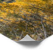 Farbe des Herbstes in flachen Tops | Routinemäßige Poster (Ecke)