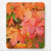 Farbe des Herbstes Mousepad (Vorne)