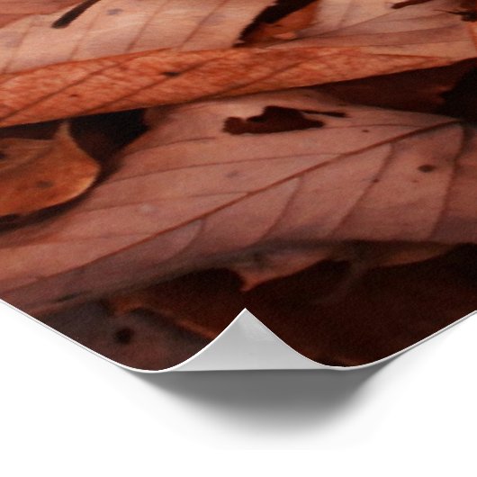 Farbe des Herbstes Poster (Ecke)