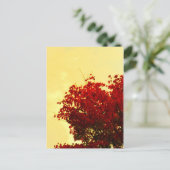 Farbe des Herbstes Postkarte (Stehend Vorderseite)