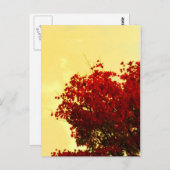 Farbe des Herbstes Postkarte (Vorne/Hinten)