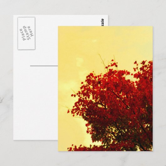 Farbe des Herbstes Postkarte (Vorne/Hinten)