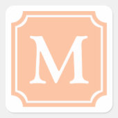 Farbe des Jahres 2024 | Peach Square Quadratischer Aufkleber (Vorderseite)