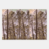 Farbe durch die Bäume Geschenkpapier Set (Vorderseite 2)