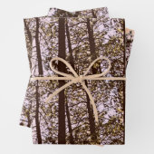 Farbe durch die Bäume Geschenkpapier Set (Beispiel)