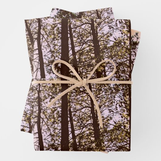 Farbe durch die Bäume Geschenkpapier Set (Beispiel)