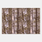 Farbe durch die Bäume Geschenkpapier Set (Vorderseite)