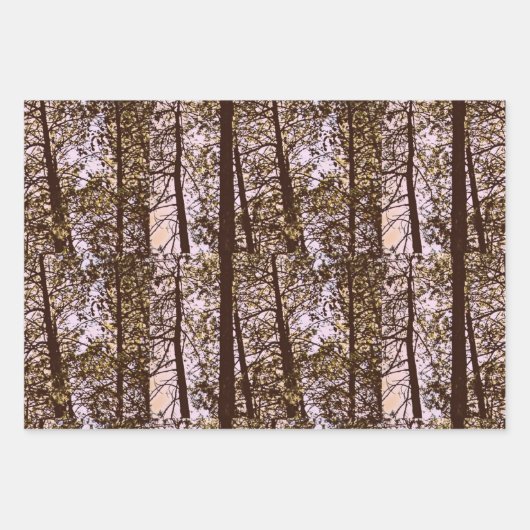 Farbe durch die Bäume Geschenkpapier Set (Vorderseite)