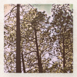 Farbe durch die Bäume Glasuntersetzer