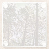 Farbe durch die Bäume Glasuntersetzer (Rückseite)