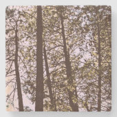 Farbe durch die Bäume Steinuntersetzer (Vorderseite)