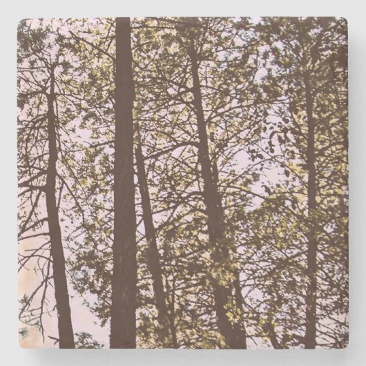 Farbe durch die Bäume Steinuntersetzer (Vorderseite)