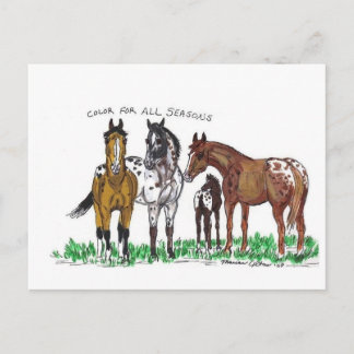 Farbe für alle Saisons Postkarte