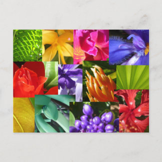 Farbe für die Welt Postkarte