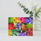 Farbe für die Welt Postkarte (Stehend Vorderseite)