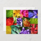 Farbe für die Welt Postkarte (Vorne/Hinten)