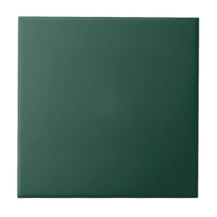 Farbe Grün 1E4B3B mit Bildoption Fliese
