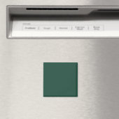 Farbe Grün 1E4B3B mit Bildoption Magnet (In Situ (Geschirrspüler))