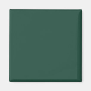 Farbe Grün 1E4B3B mit Bildoption Magnet