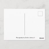 Farbe in Ihrem Leben Postkreuzung Postkarte (Rückseite)