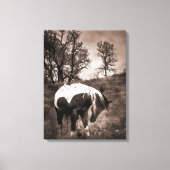 Farbe Leinwanddruck (Vorderseite)