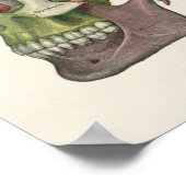 Farbe Mensch Schädel Anatomische Kunst Druck Poster (Ecke)