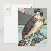 Farbe nach Anzahl Hawk Postkarte (Vorne/Hinten)