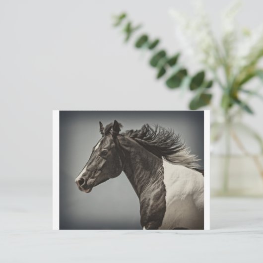 Farbe Postkarte (Stehend Vorderseite)