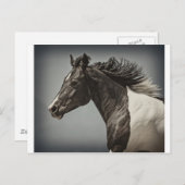 Farbe Postkarte (Vorne/Hinten)