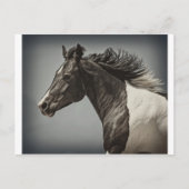 Farbe Postkarte (Vorderseite)