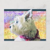 FARBE POSTKARTE (Vorderseite)