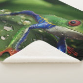 FARBE SHERPADECKE (3/4)