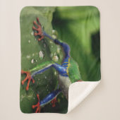 FARBE SHERPADECKE (Vorderseite)