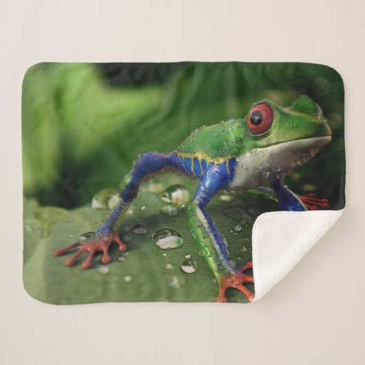 FARBE SHERPADECKE (Vorderseite (Horizontal))