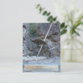 FARBE: SOLEILPORTE POSTKARTE (Stehend Vorderseite)